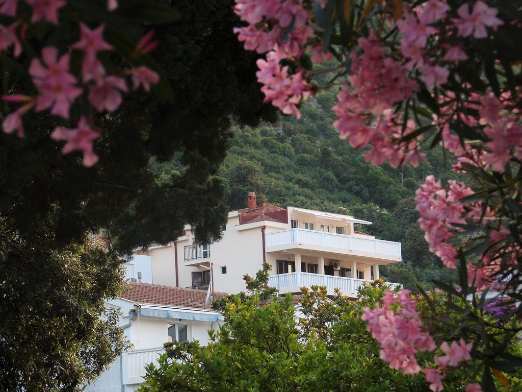 Villa Boka Sunrise Apartments Herceg Novi Exterior photo